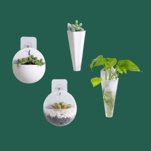 Wall Planters Decor